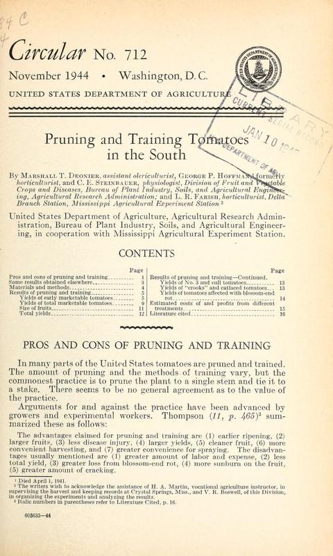Pruning and Training Tomatoes in the South 1.jpg