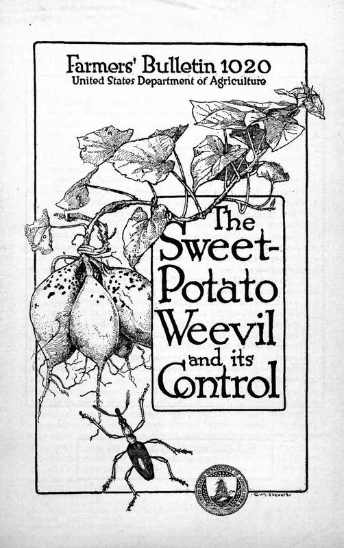 Sweet-Potato weevil and its Control cover.jpg