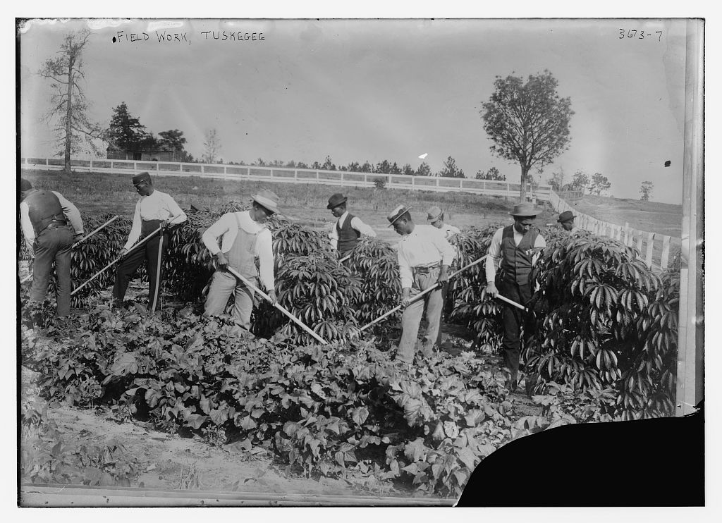 Field work, Tuskegee