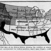 Commercial varieties of alfalfa Map.jpg