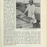 Gardening Instructions for Club Members 5.jpg