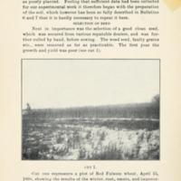 Successful Yields of Small Grain 2.jpg