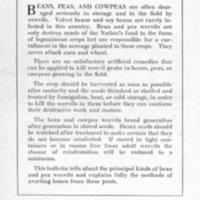 Bean and Pea Weevils 1.jpg