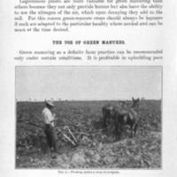 Leguminous Crops for Green Manuring 2.jpg