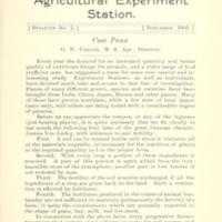 Cow Peas 1.jpg