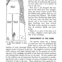 Profitable Cotton Farm 2.jpg