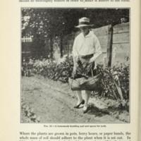 Gardening Instructions for Club Members 10.jpg
