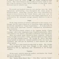 Some Possibilities of the Cow Pea in Macon County, Alabama 2.jpg