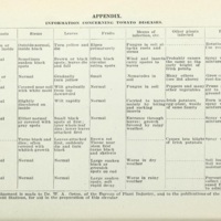 Insect Enemies and Diseases of the Tomato 3.jpg