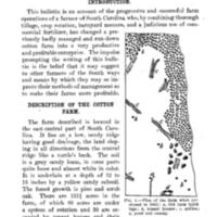 Profitable Cotton Farm 1.jpg