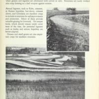 New Landmarks of Soil Conservation 8.jpg