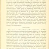 Corn Root-Worms 4.jpg