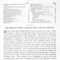Bean and Pea Weevils TOC.jpg
