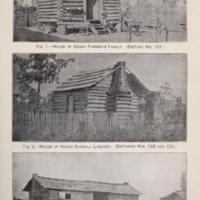 Food of the Negro in Alabama Illustration 2.jpg