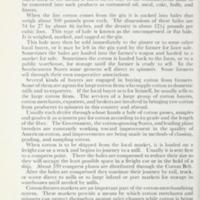 Facts About Cotton 3.jpg