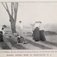 School Gardens 2.jpg