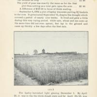 Successful Yields of Small Grain 6.jpg