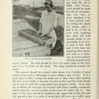 Gardening Instructions for Club Members 6.jpg