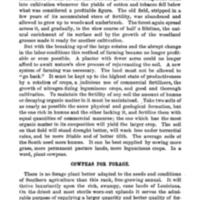 Cowpeas 5.jpg