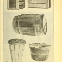 Marketing Southern-Grown Sweet Potatoes Illustration 2.jpg