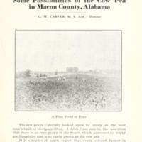Some Possibilities of the Cow Pea in Macon County, Alabama 1.jpg