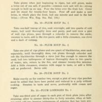 43 Ways to Save the Wild Plum Crop 6.jpg