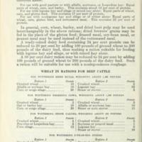 Feeding Wheat to Livestock 4.jpg
