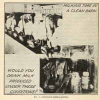 Lessons on Dairying for Rural Schools 3.jpg