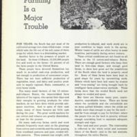 The Cotton and Tobacco South 7.jpg