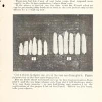 Increasing the Yield of Corn 7.jpg