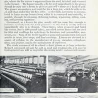 Facts About Cotton 6.jpg