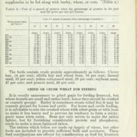Feeding Wheat to Livestock 3.jpg