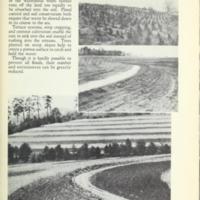 New Landmarks of Soil Conservation 16.jpg
