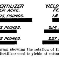 Profitable Cotton Farm 3.jpg