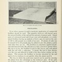 Gardening Instructions for Club Members 8.jpg