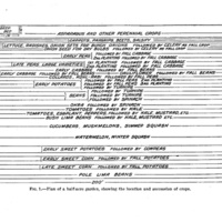 Home Gardening in the South  Plan 1.jpg