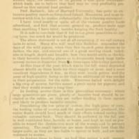 Feeding acorns 7.jpg