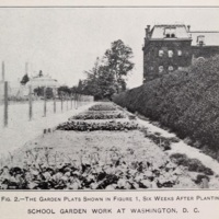 School Gardens 6.jpg