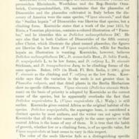 Cow Pea History 12.jpg