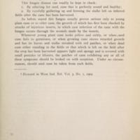 Two Plant Diseases in Hawaii 3.jpg