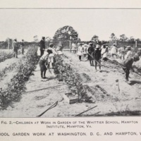 School Gardens 10.jpg