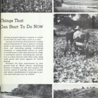 The Cotton and Tobacco South 12.jpg