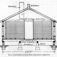 Sweet-Potato Storage 2.jpg