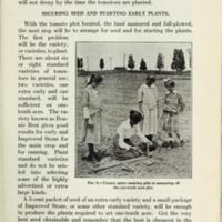Gardening Instructions for Club Members 3.jpg