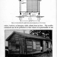 Sweet-Potato Storage 5.jpg