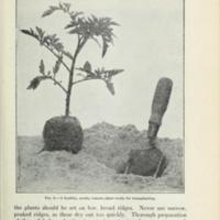 Gardening Instructions for Club Members 9.jpg