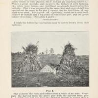Increasing the Yield of Corn 6.jpg