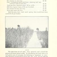 Successful Yields of Small Grain 5.jpg