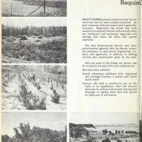 The Cotton and Tobacco South 13.jpg
