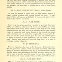 43 Ways to Save the Wild Plum Crop 7.jpg